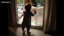 Köpeğin Yaptığı Harekete Sevimli Bebeğin Düştüğü Çok Komik Durum
