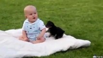 Köpekle bebeğin oyunu