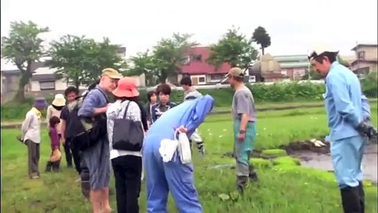 【モンちゃん08】無農薬の田んぼで田植え
