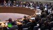 UNSC Russian Rep Defends Actions to Get Rid of Radicals in Ukraine