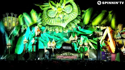 Wiwek & Gregor Salto - Trouble (Feat. MC Spyder) [Sander van Doorn Live @ EDC Las Vegas 2015]