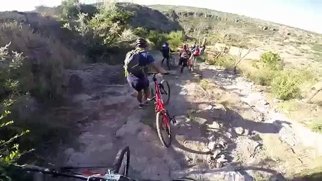 Pedaleada 2015