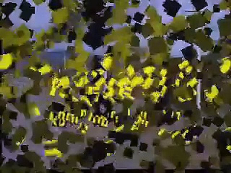 Vultures Eating a Dead Dog in Costa Rica From Jacosun.com