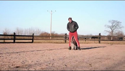 När Alvin själv får bestämma!