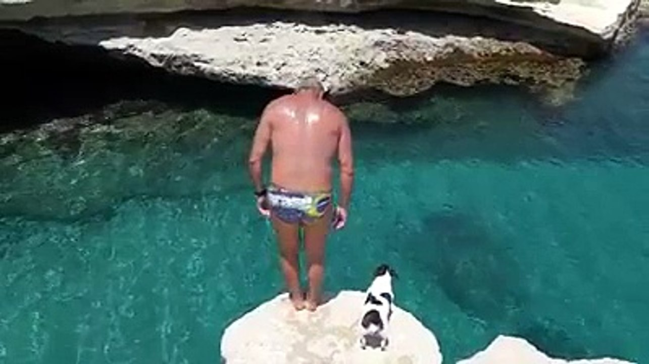 kuty dog ki wafadari