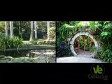 Jardín Botánico de Culiacán