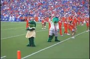 Albert the University of Florida Alligator Mascot: 