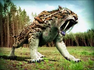 Dire wolf vs Saber Tooth Tiger