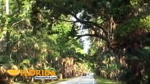 Tomoka State Park Ormond Beach Florida