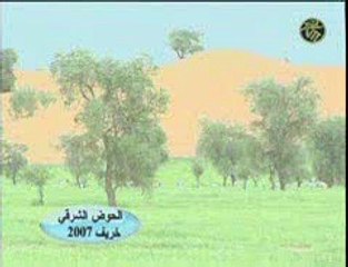 موريتانيا :  مناظر من خريف "الحوض الشرقي" 2007