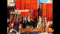 זאב רווח  הלכתי לשכת עבודה