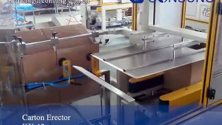 Automatic carton erector,carton erecting machine factory supply
