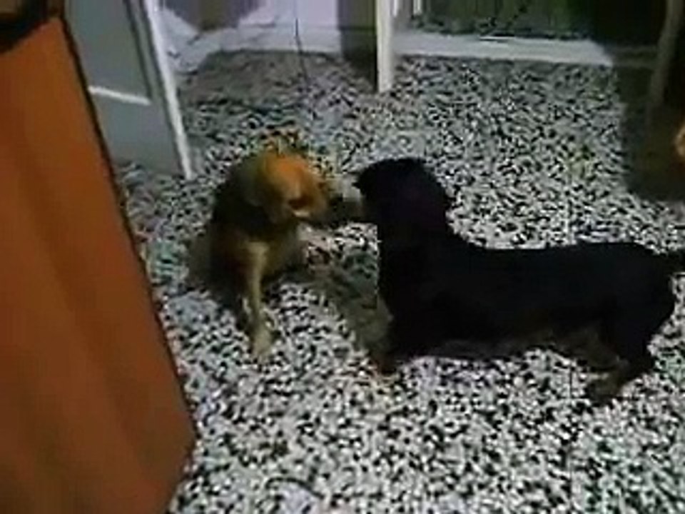 SALLY,ORMAI TOTALMENTE RINCO....CERCA CASA