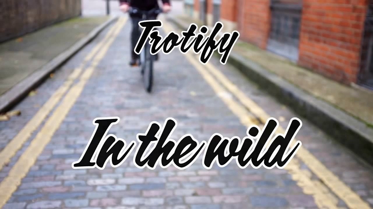 Trotify In The Wild