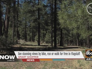 See stunning views by bike, run or walk for free in Flagstaff