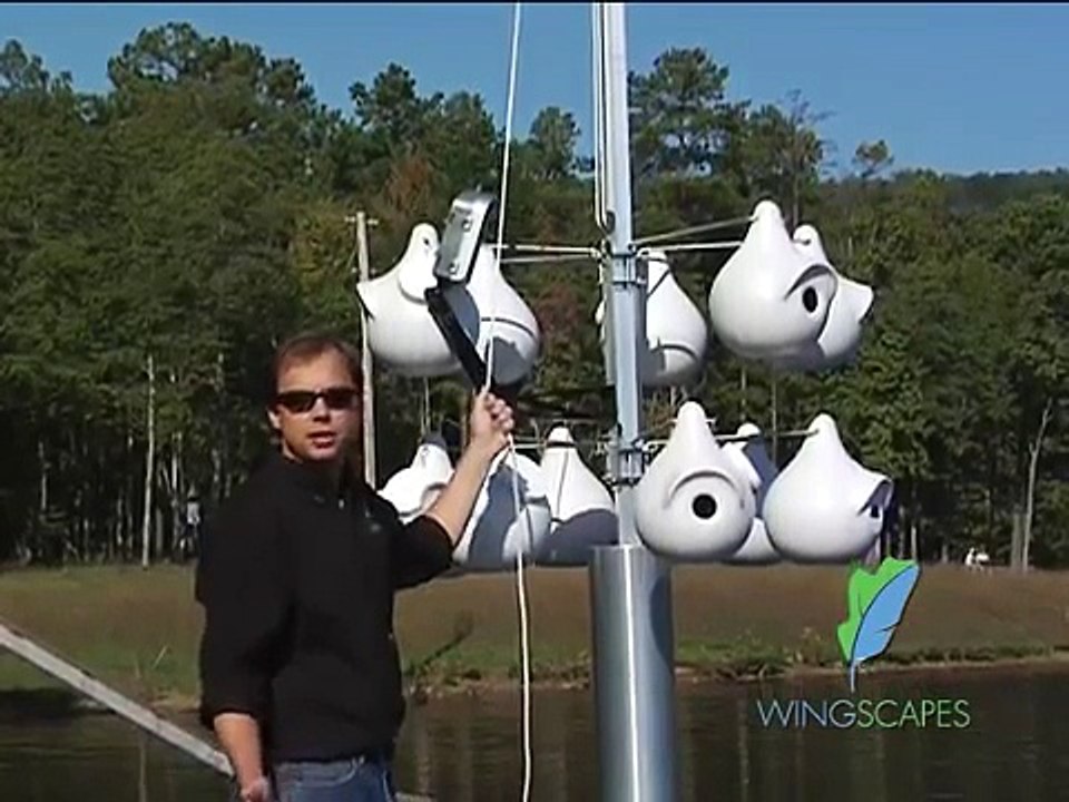 BirdCam Tips #11: Wingscapes BirdCam; Purple Martin Colony