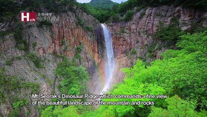 [TVZONE]Mt. Seorak's Dinosaur Ridge the unsurpassed landscape which a sea of cloud forms