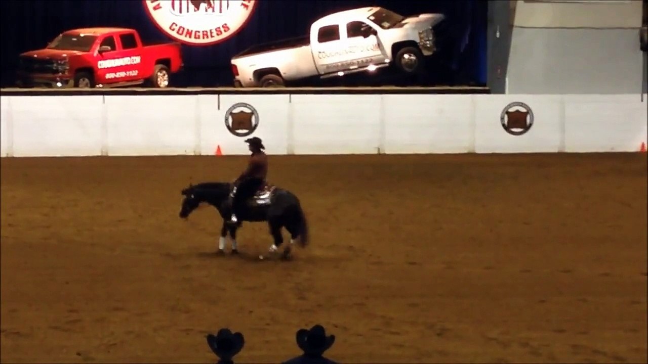 Andrea Fappani NRHA Open Futurity Finals- Quarter Horse Congress 2013