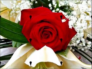 Los Bukis y Los Temerarios Ladron De Buena Suerte