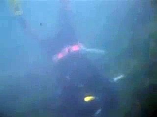 Pesca al polpo nel mare Adriatico