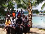 Solomon Islands Dolphins Paradise