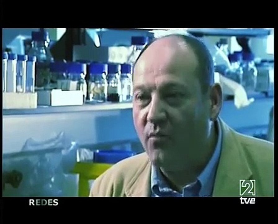 El Ritmo De La Vida (Capítulo REDES 370)