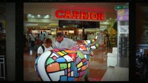 Living in Costa Rica. Cows Standing in Upscale MultiPlaza Shopping Mall in Escazu,