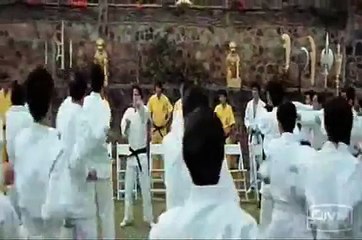 Bruce Lee Kung Fu Fighting