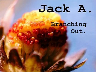 Branching Out - Jack A