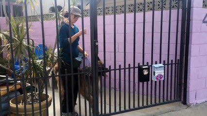 Threshold Training at Gate with Slip leash