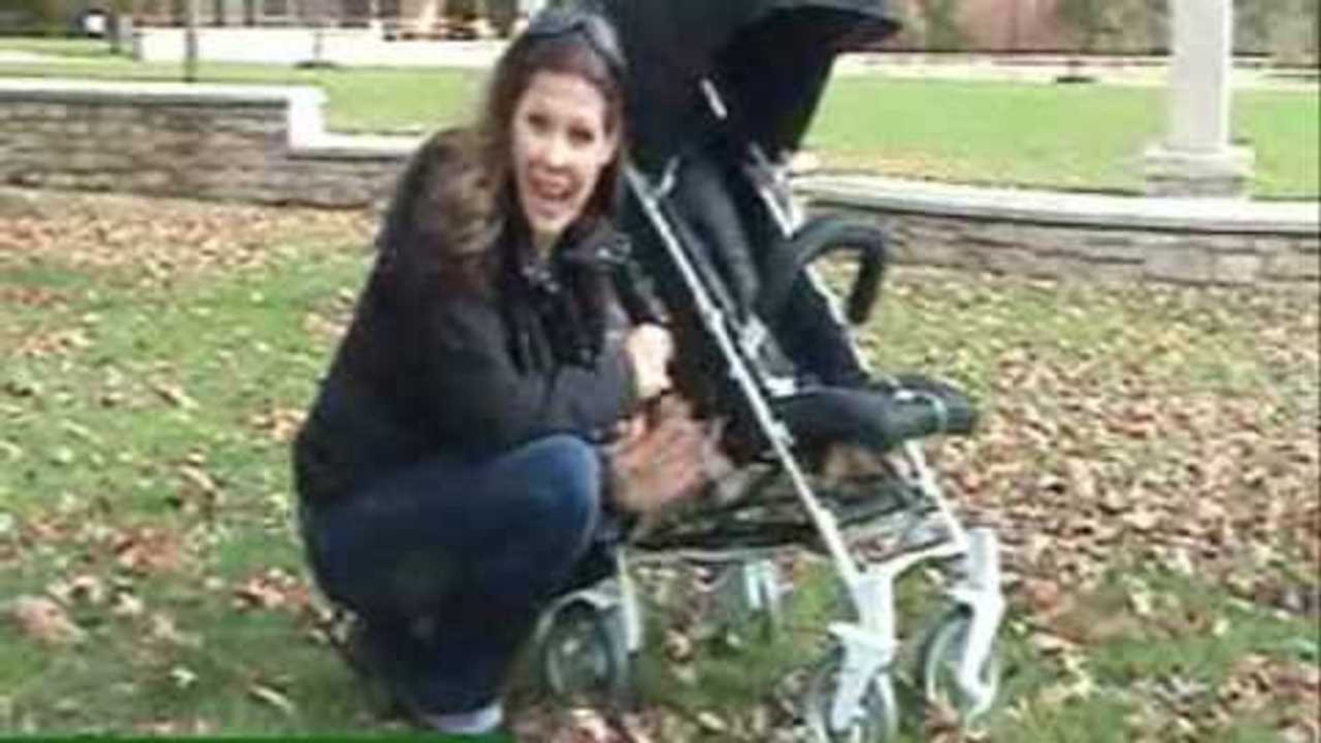 cybex callisto stroller