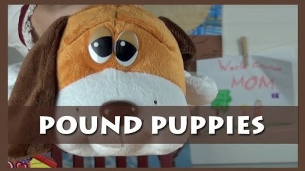 Pound Puppies are BACK!