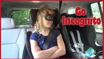 Safety 1st Incognito Kid Positioner Car Seat Review