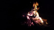 Evening Relax with Nature -  432 Hz  -  Deep Meditation with Crickets, Tjurunga and Didgeridoo