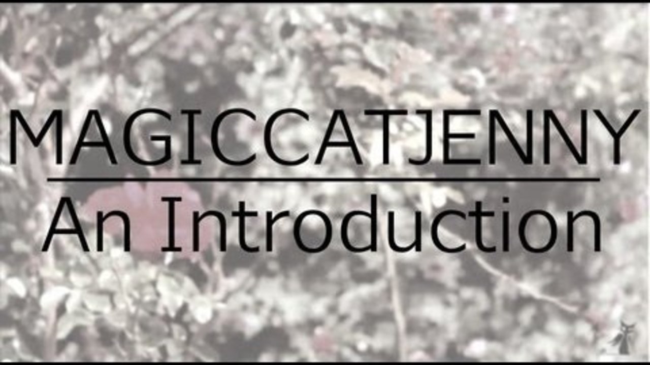 MagicCatJenny | An Introduction