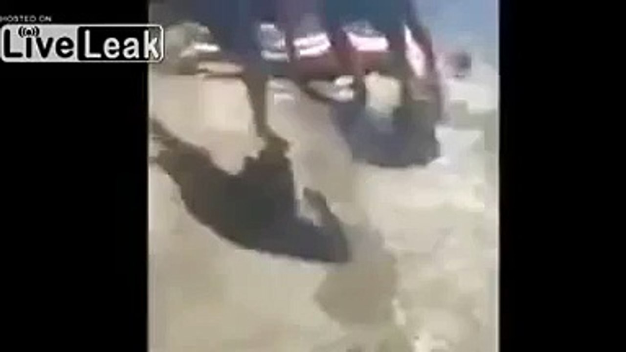 Clumsy Girl Is Knocked Unconcscious While Trying to Rope Swing