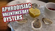 HOW TO SHUCK OYSTERS Valentines Day Aphrodisiacs  |  HellthyJunkFood