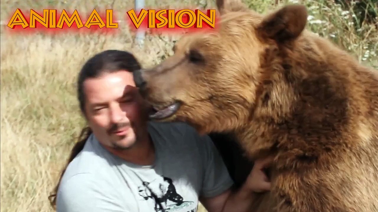 beauval   les ouistitis