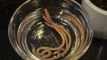 How to Make a Worm Smoothie - TruthPlusDare Smoothie Challenge Behind the Scenes by Bethany G