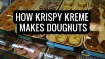 How Krispy Kreme Makes Doughnuts - Bethany G
