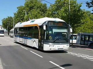Trolleybus du réseau TCL de LIMOGES 04 08 2009