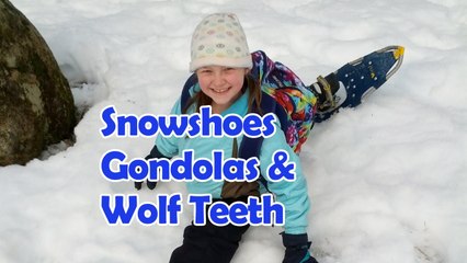 Field Trip - Snowshoeing, Gondolas & Wolf Teeth | Bethany G