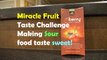 The Mberry Miracle Fruit - Making Sour Foods Taste Sweet - Bethany G