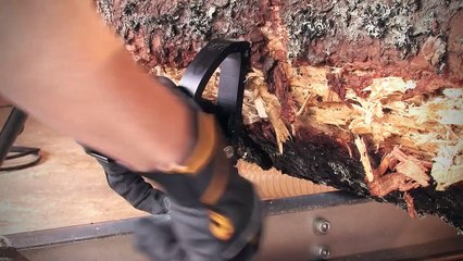 E8 Speed Saw | New Stronger Electric Saw for High-Efficiency Log Sawing | LOGOSOL
