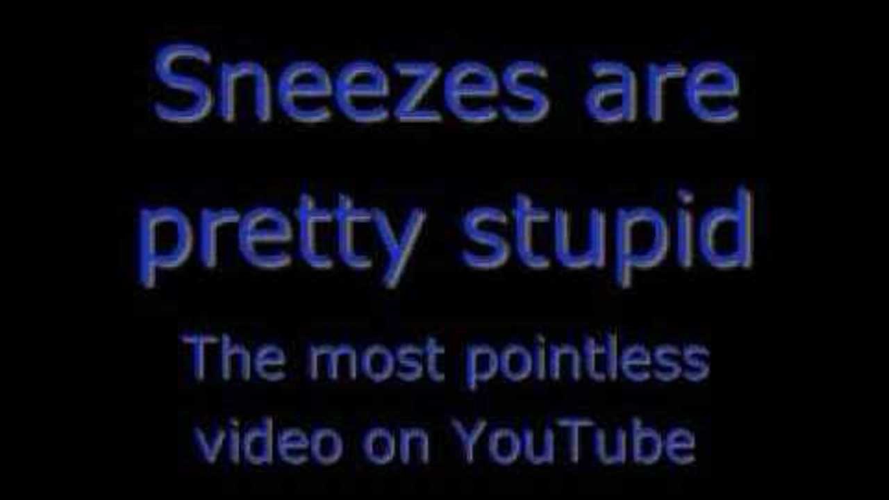 Sneezes are pretty stupid