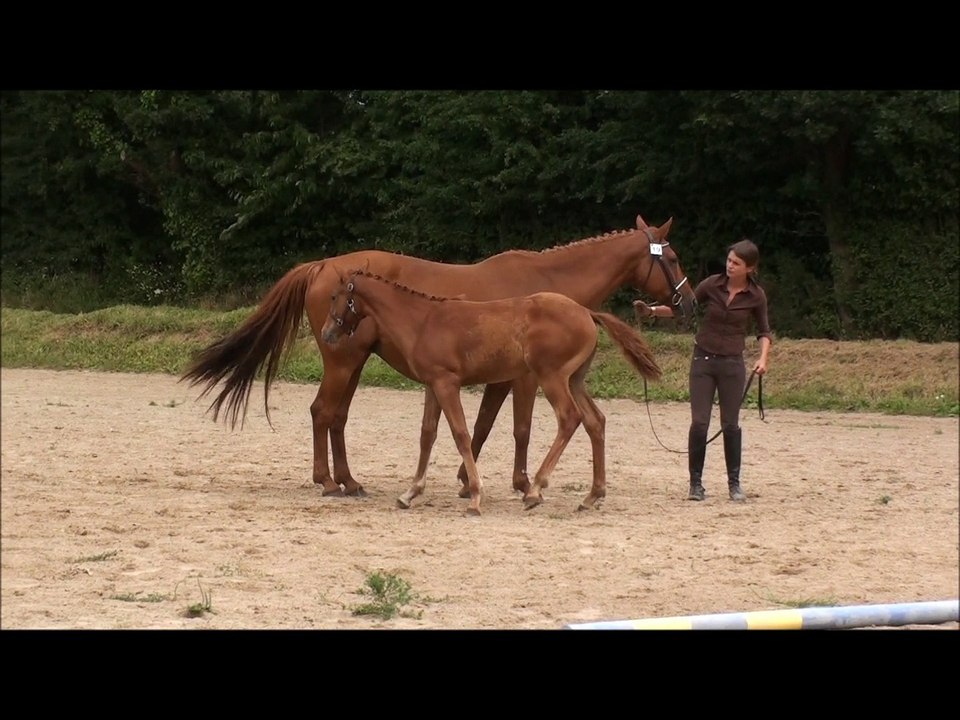 Fidji de Claids