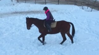 Equitation le 11 février dans la neige avec Tiaco