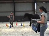 Quinoa - Meréns - Jonge paarden training in Ansen