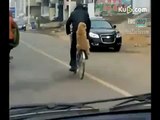 Tenerissimo cane a passeggio sulla bicicletta