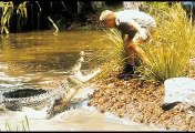Steve Irwin - Crocodile Hunter - Tribute RIP